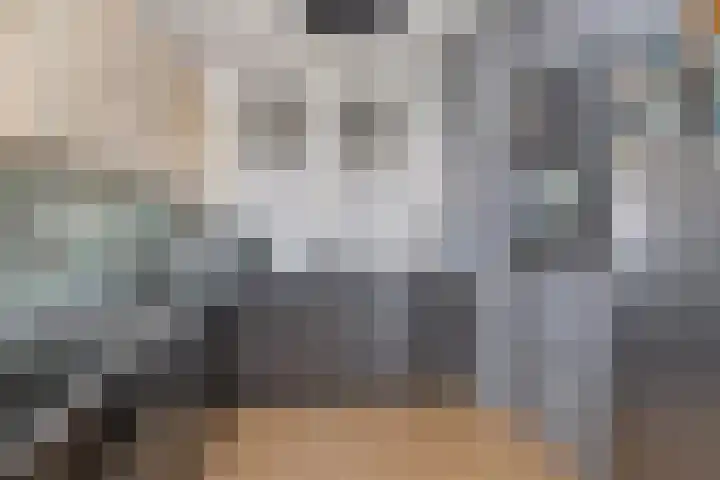 Baarsveen 425 Spijkenisse thumbnail 18