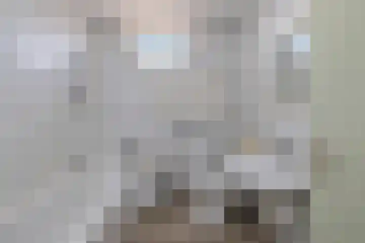 Baarsveen 425 Spijkenisse thumbnail 23