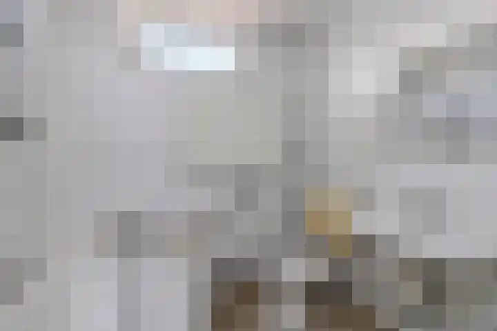 Baarsveen 425 Spijkenisse thumbnail 24