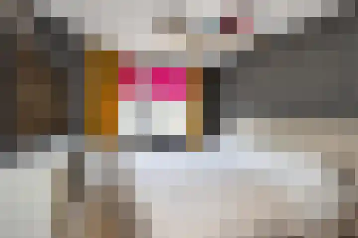 Baarsveen 425 Spijkenisse thumbnail 32