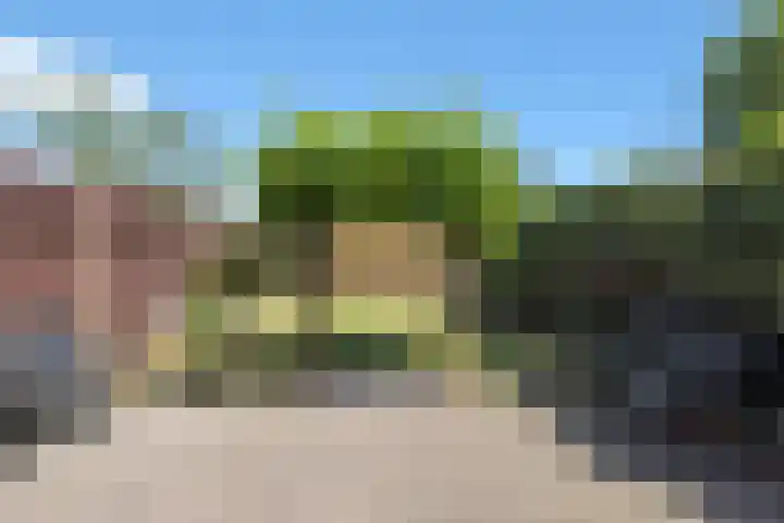 Baarsveen 425 Spijkenisse thumbnail 34