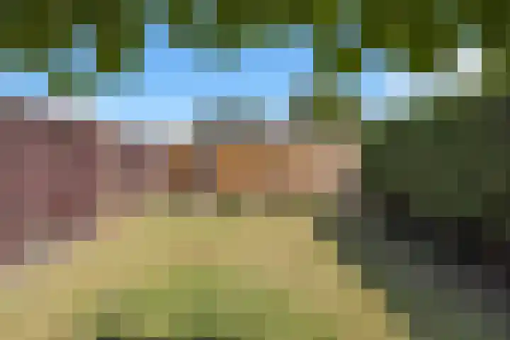 Baarsveen 425 Spijkenisse thumbnail 35