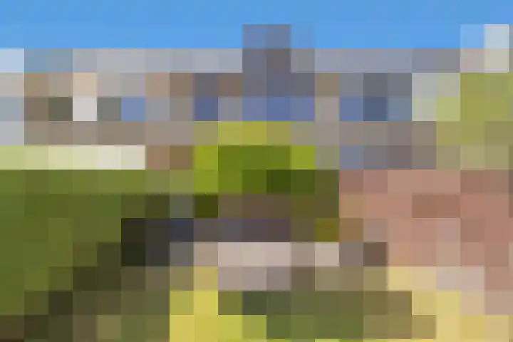 Baarsveen 425 Spijkenisse thumbnail 37