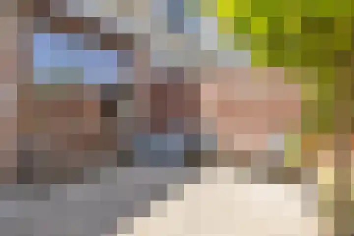 Baarsveen 425 Spijkenisse thumbnail 38