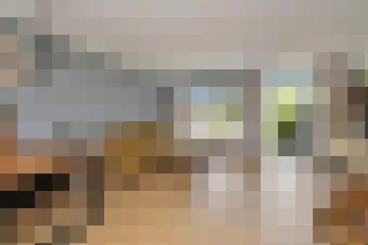 Baarsveen 425 Spijkenisse thumbnail 7
