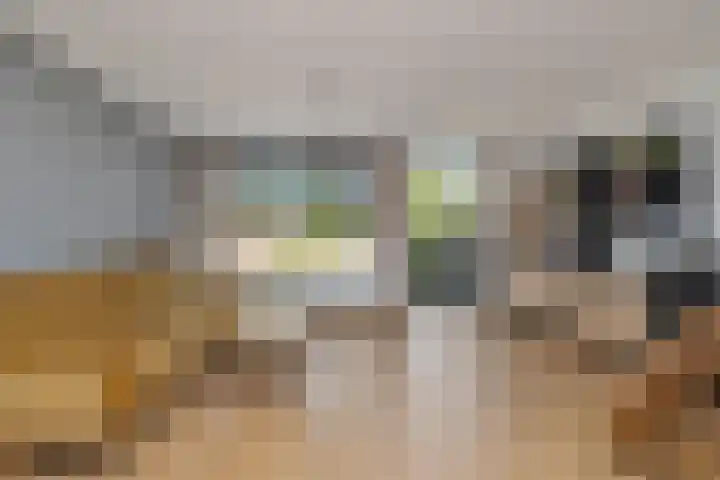 Baarsveen 425 Spijkenisse thumbnail 8