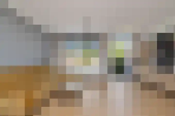 Baarsveen 425 Spijkenisse thumbnail 9