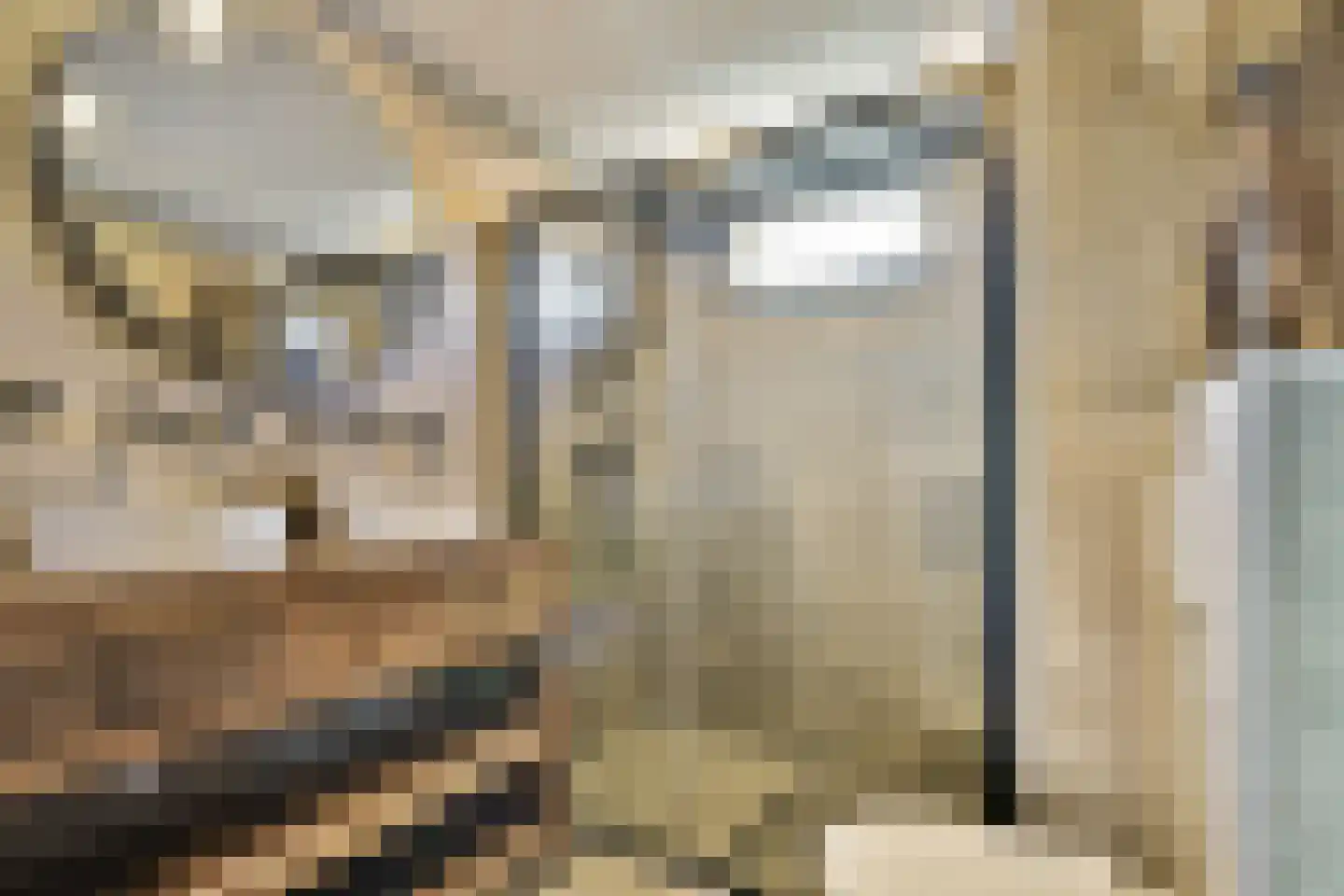 Baarsveen 427 Spijkenisse thumbnail 21