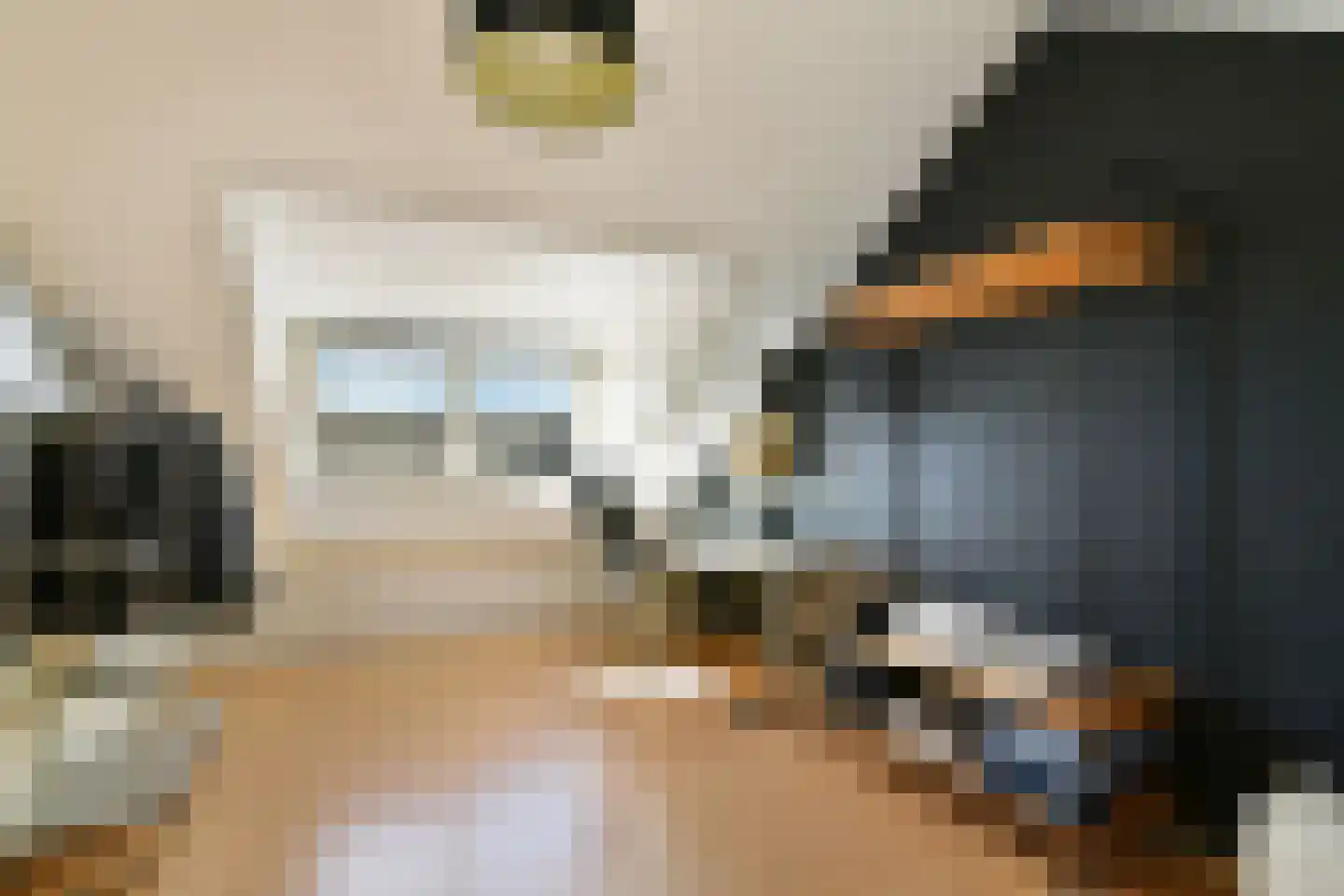 Baarsveen 427 Spijkenisse thumbnail 25