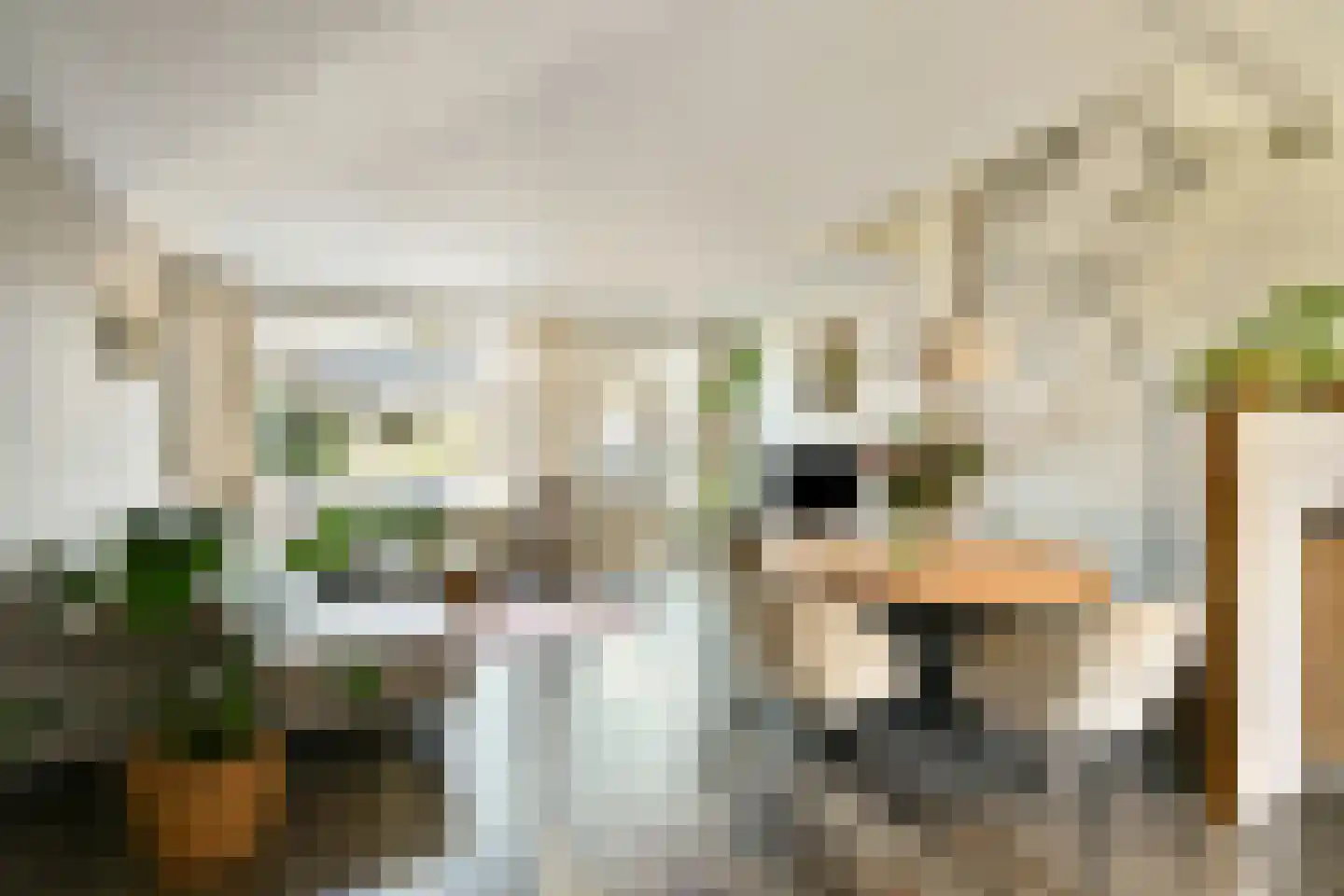 Baarsveen 427 Spijkenisse thumbnail 9