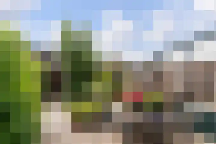 Baarsveen 449 Spijkenisse thumbnail 13