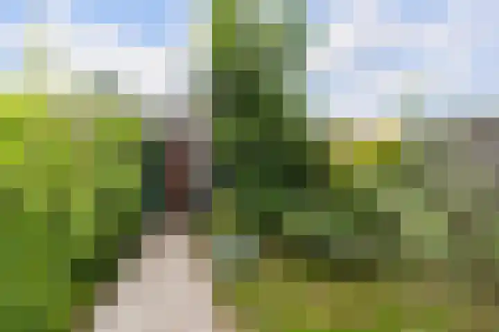 Baarsveen 449 Spijkenisse thumbnail 14