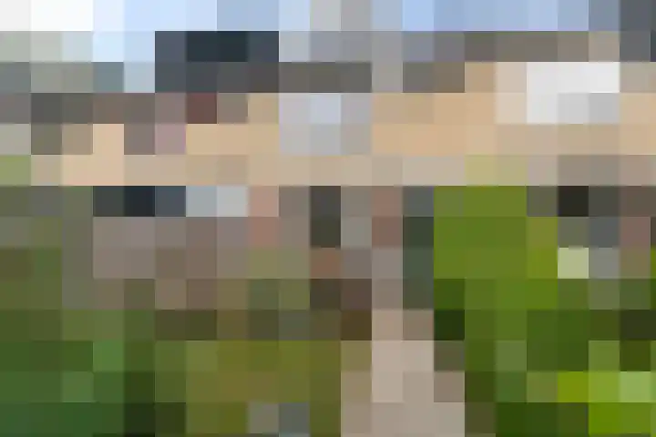 Baarsveen 449 Spijkenisse thumbnail 15