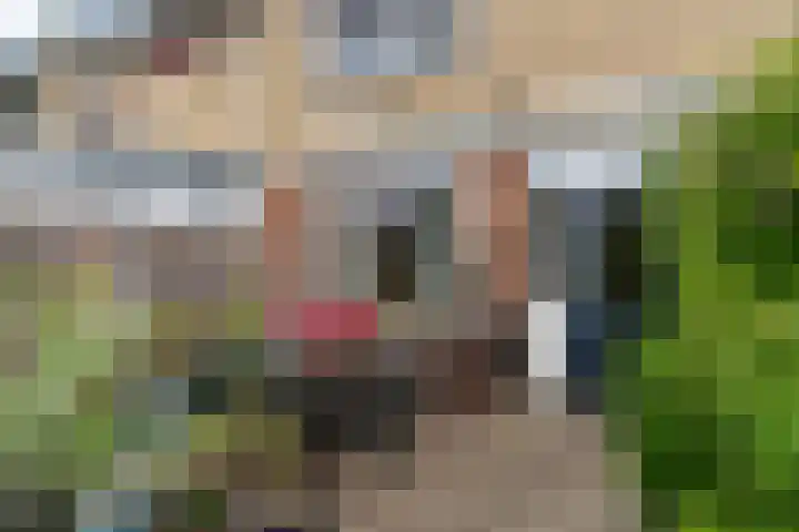 Baarsveen 449 Spijkenisse thumbnail 16