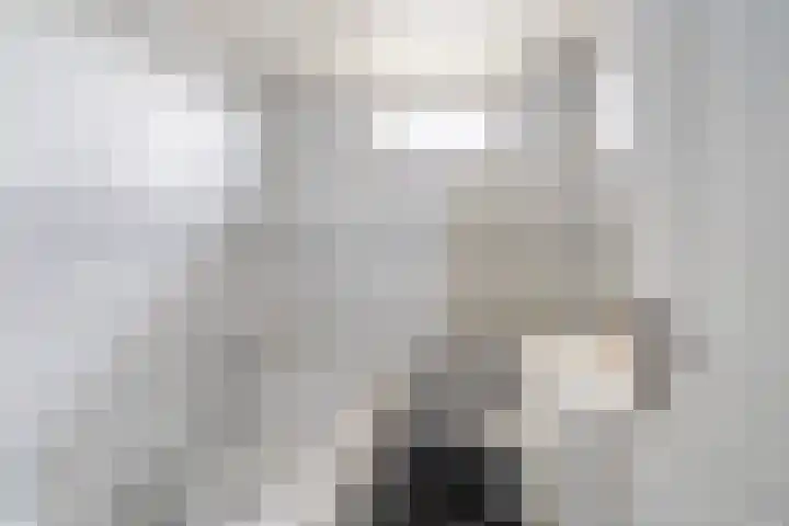 Baarsveen 449 Spijkenisse thumbnail 23