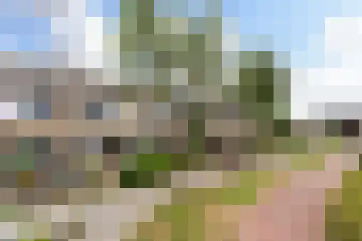 Baarsveen 449 Spijkenisse thumbnail 31