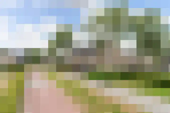 Baarsveen 449 Spijkenisse thumbnail 32