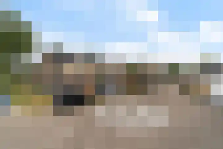 Baarsveen 449 Spijkenisse thumbnail 33