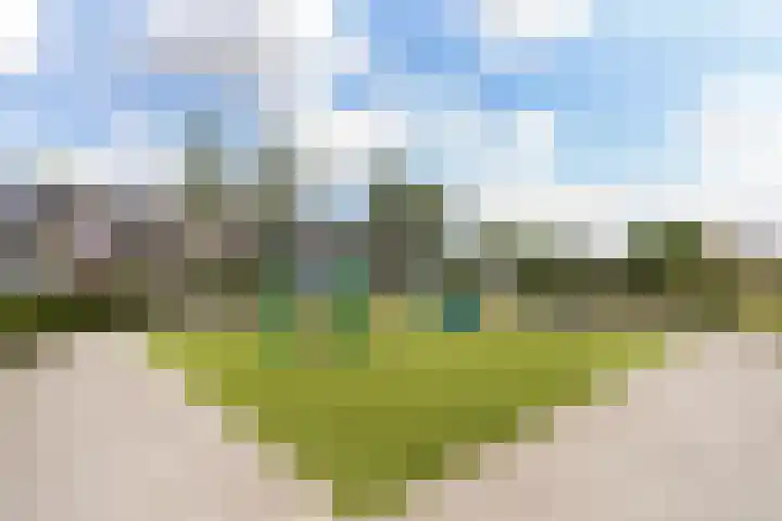 Baarsveen 449 Spijkenisse thumbnail 34