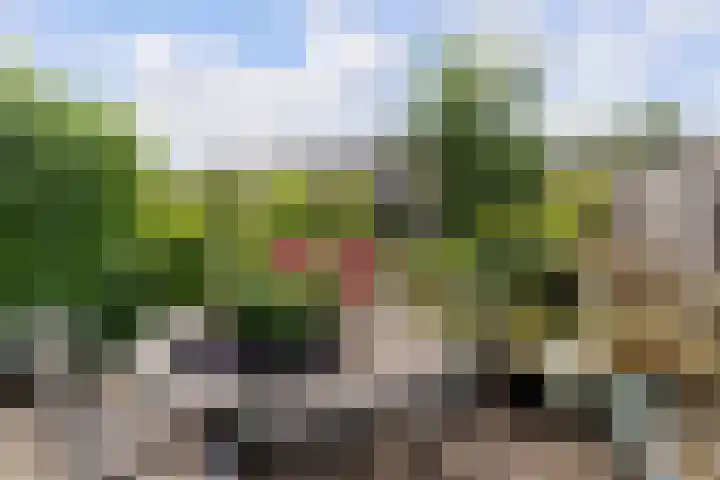 Baarsveen 449 Spijkenisse thumbnail 4