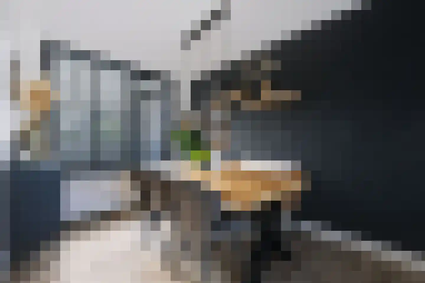 Baarsveen 461 Spijkenisse thumbnail 16