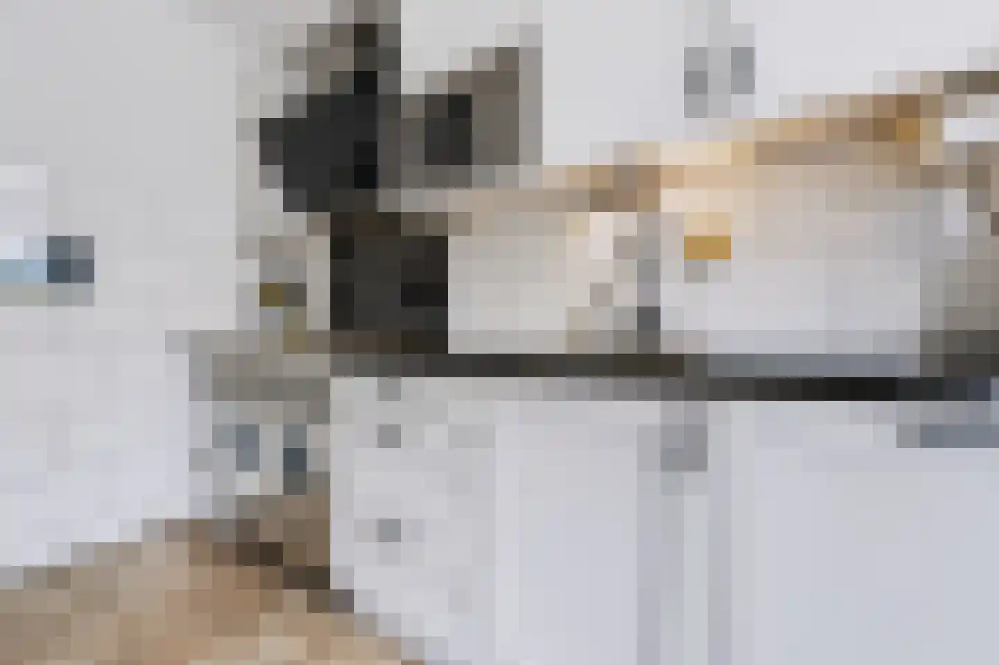 Baarsveen 461 Spijkenisse thumbnail 22