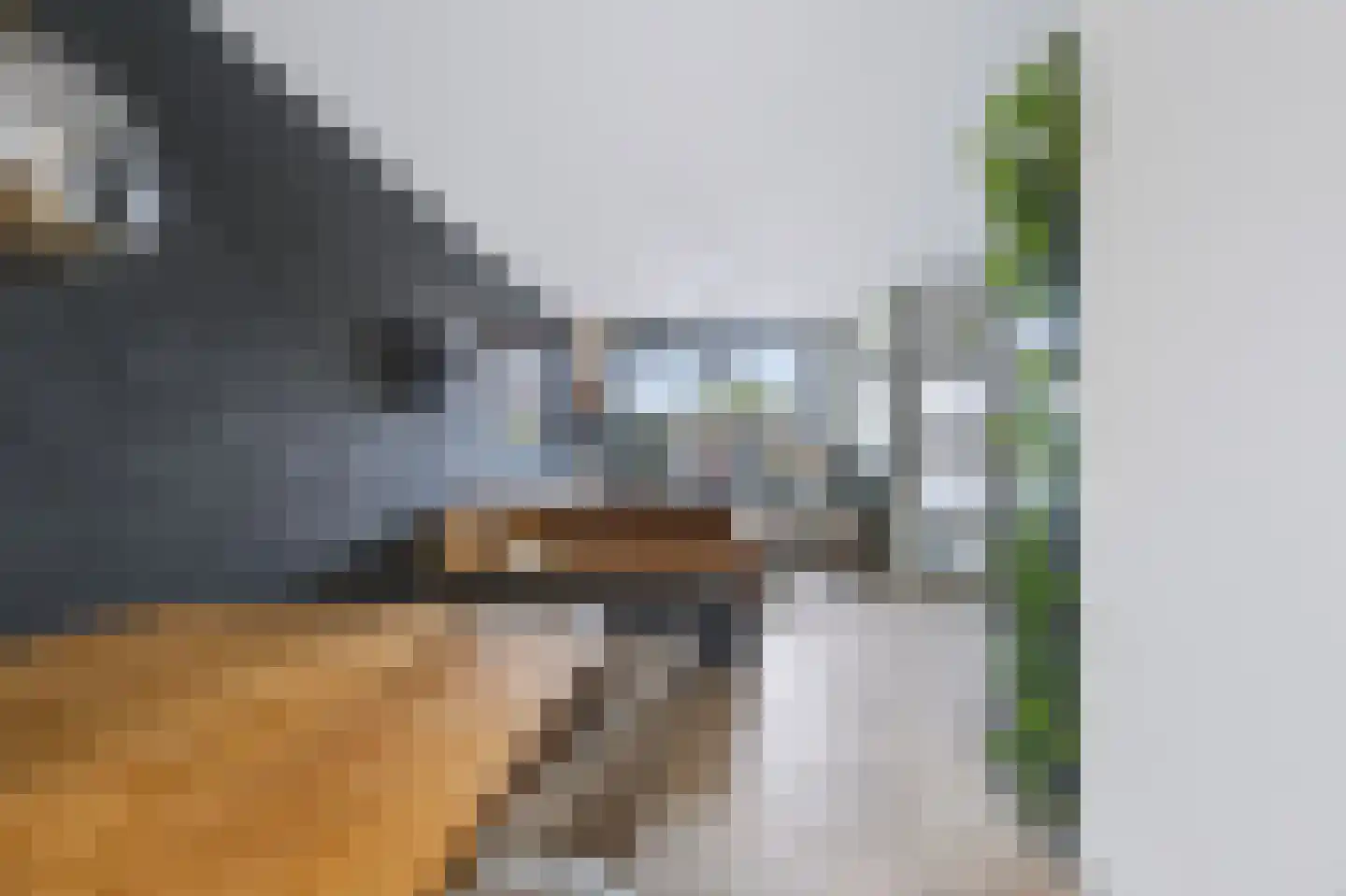 Baarsveen 461 Spijkenisse thumbnail 23