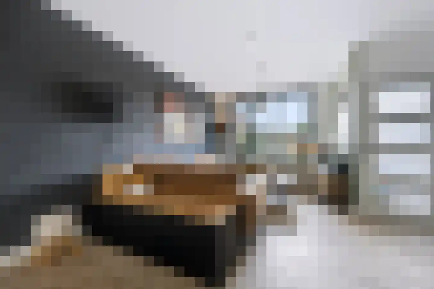 Baarsveen 461 Spijkenisse thumbnail 24