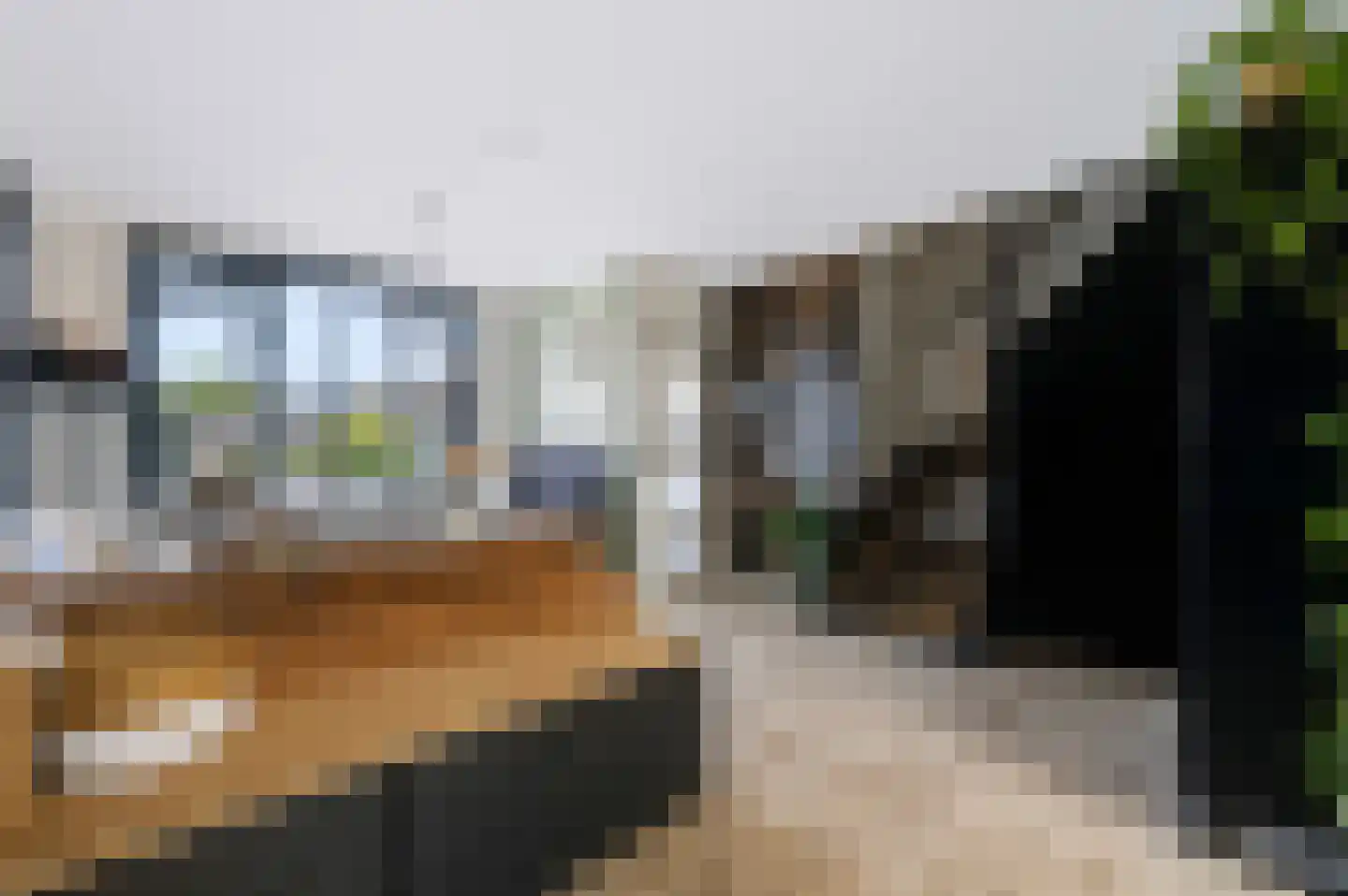 Baarsveen 461 Spijkenisse thumbnail 25