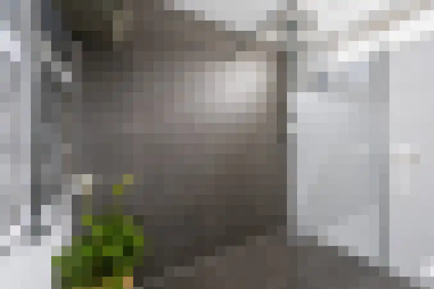 Baarsveen 461 Spijkenisse thumbnail 30
