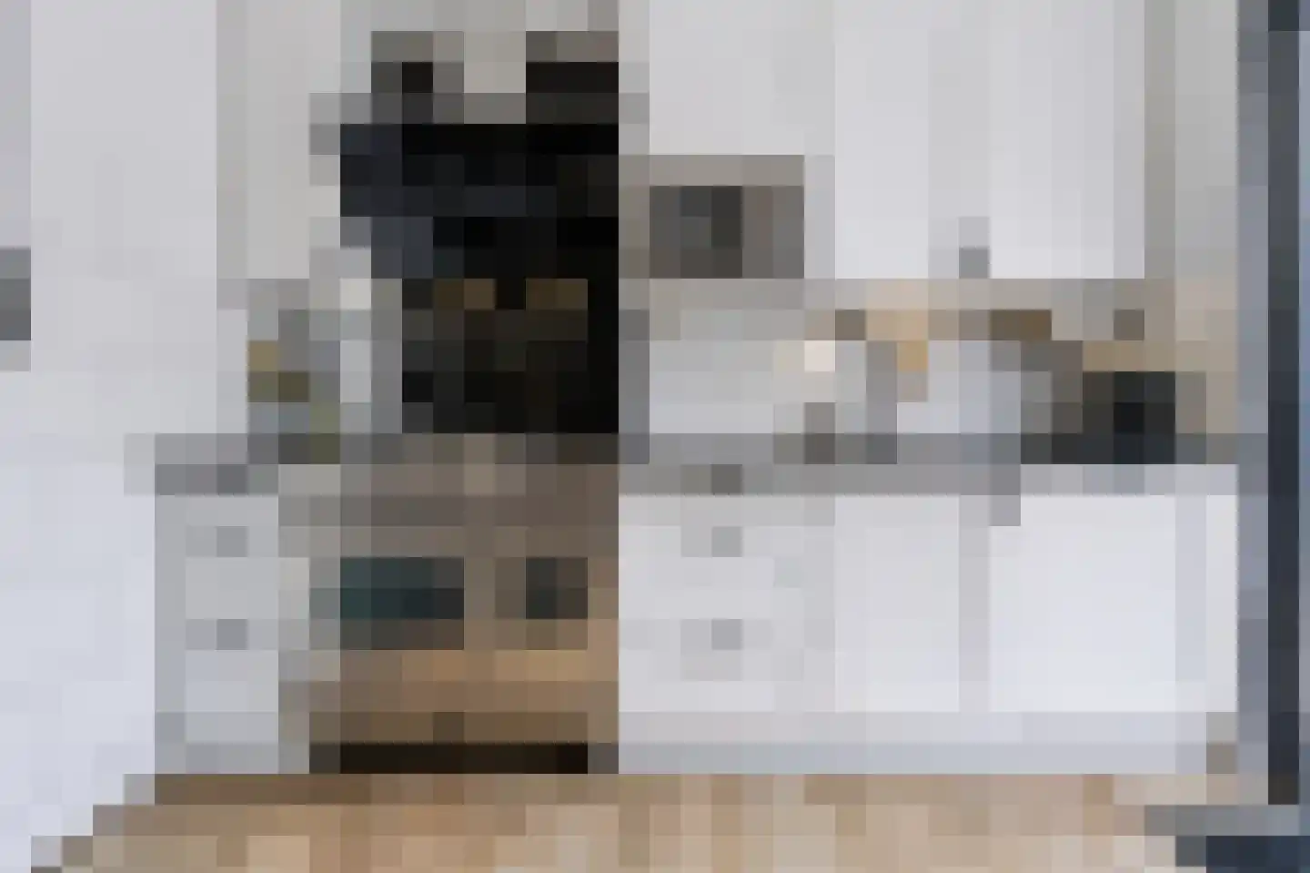 Baarsveen 461 Spijkenisse thumbnail 4