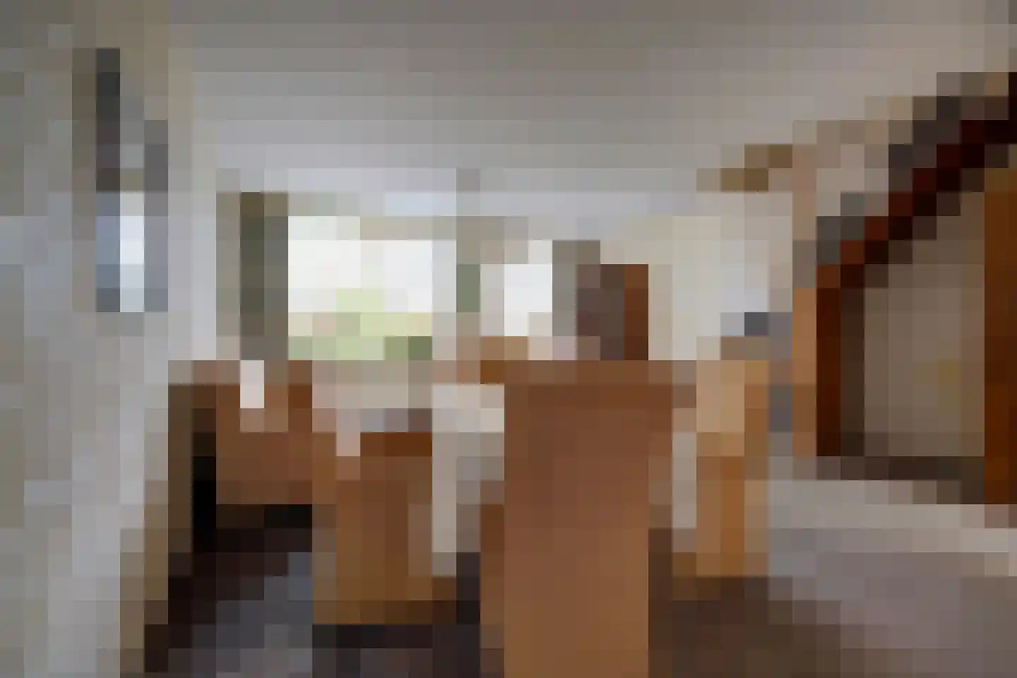 Baarsveen 569 Spijkenisse thumbnail 7