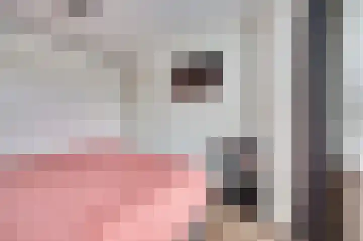Baarsveen 579 Spijkenisse thumbnail 19