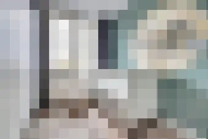 Baarsveen 579 Spijkenisse thumbnail 22