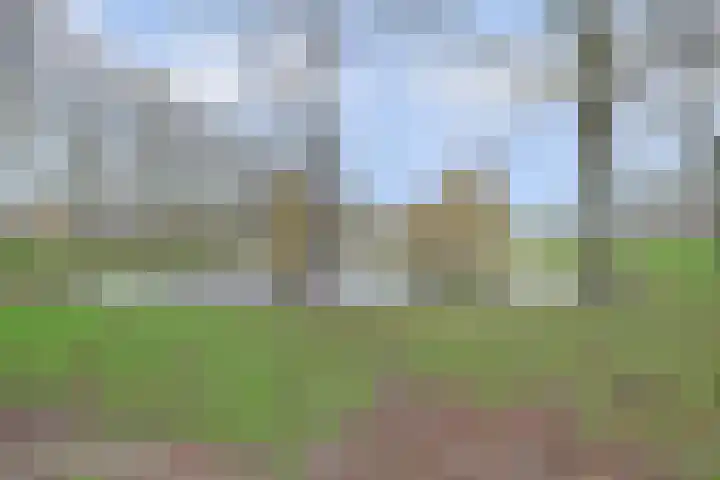 Baarsveen 579 Spijkenisse thumbnail 31