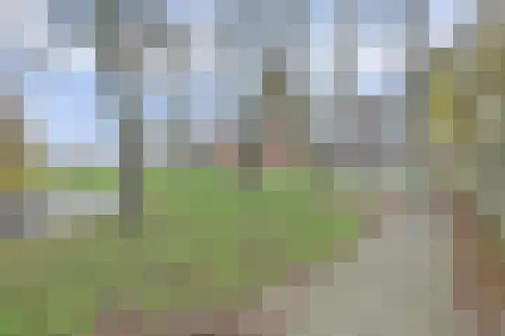 Baarsveen 579 Spijkenisse thumbnail 32