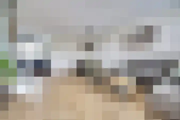 Baarsveen 579 Spijkenisse thumbnail 8
