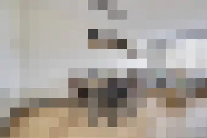 Baarsveen 579 Spijkenisse thumbnail 9