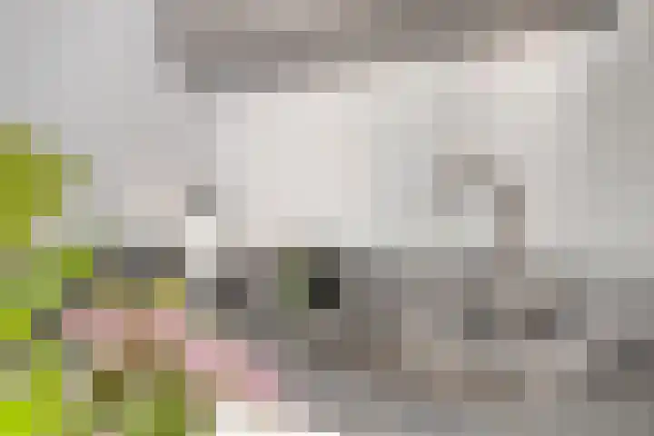 Baarsven 27 Goirle thumbnail 12