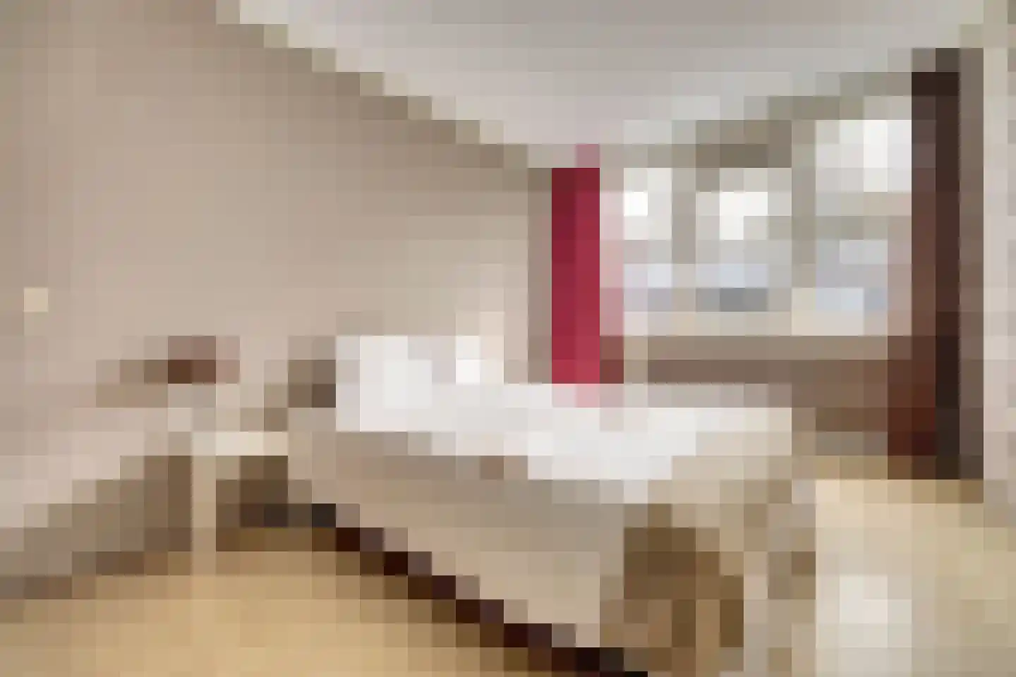Baarsweg 10 Hoogvliet Rotterdam thumbnail 13