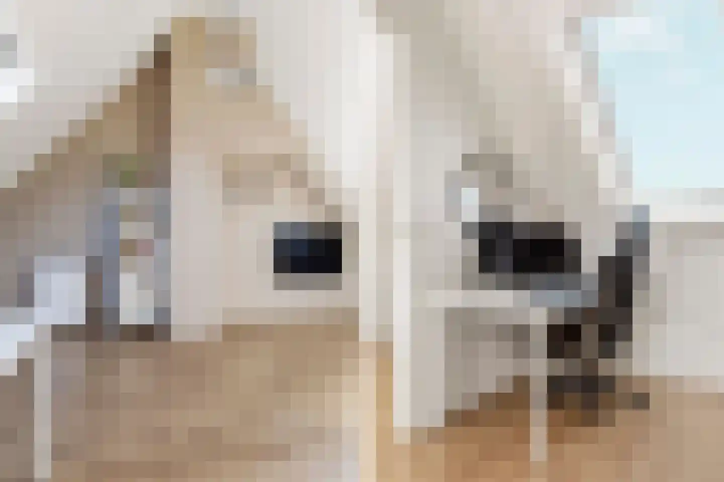 Baarsweg 15 Almere thumbnail 55