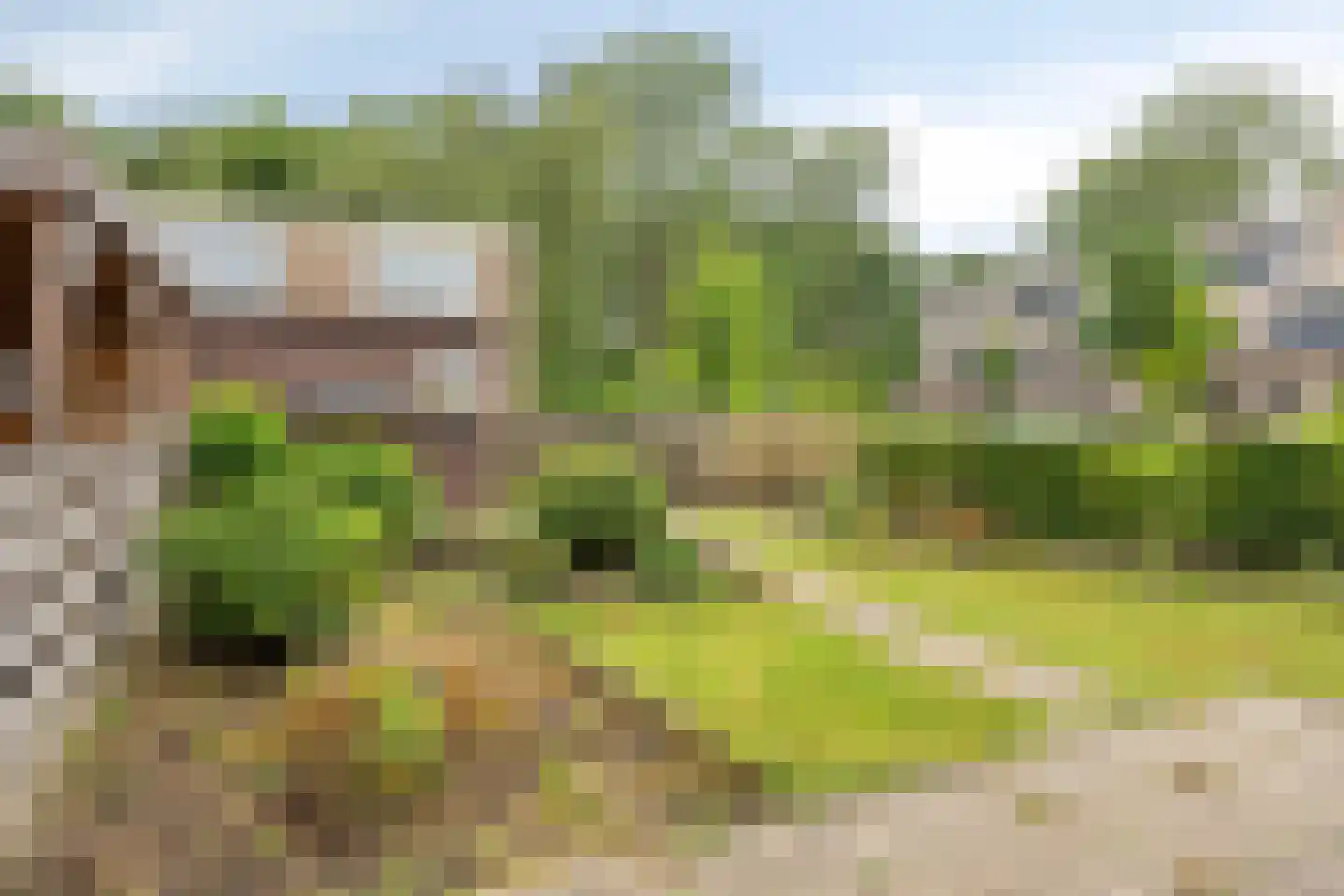 Baarsweg 166 Hoogvliet Rotterdam thumbnail 13