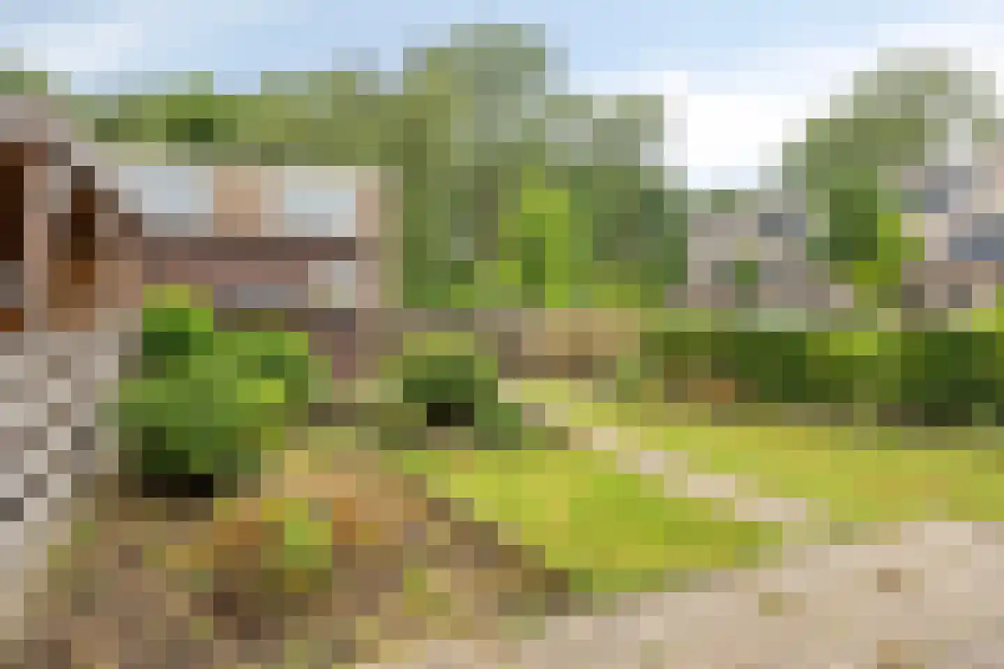 Baarsweg 166 Hoogvliet Rotterdam thumbnail 13
