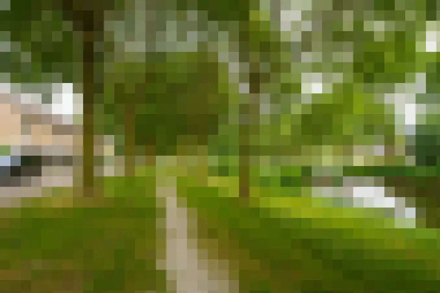 Baarsweg 17 Almere thumbnail 41