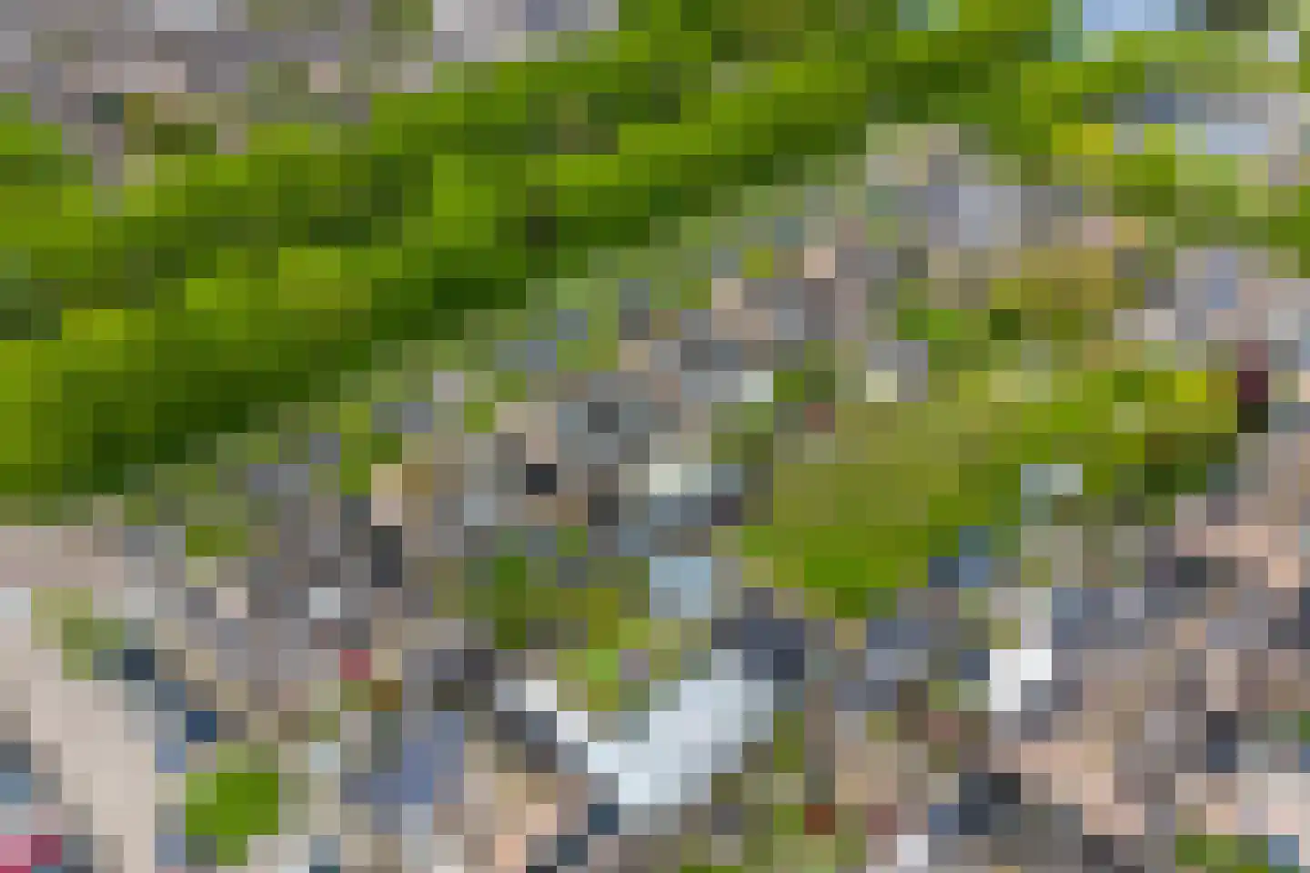 Baarsweg 17 Almere thumbnail 48
