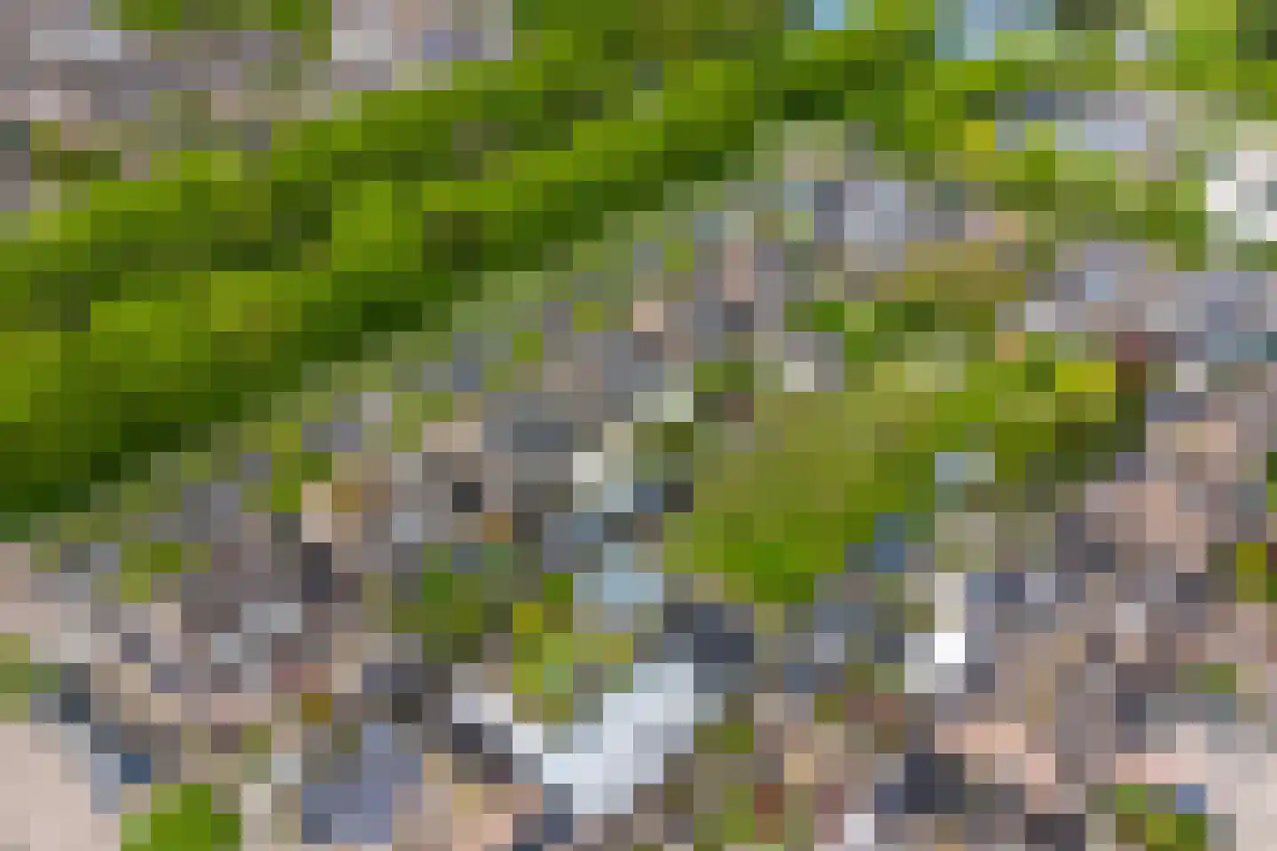 Baarsweg 17 Almere thumbnail 5