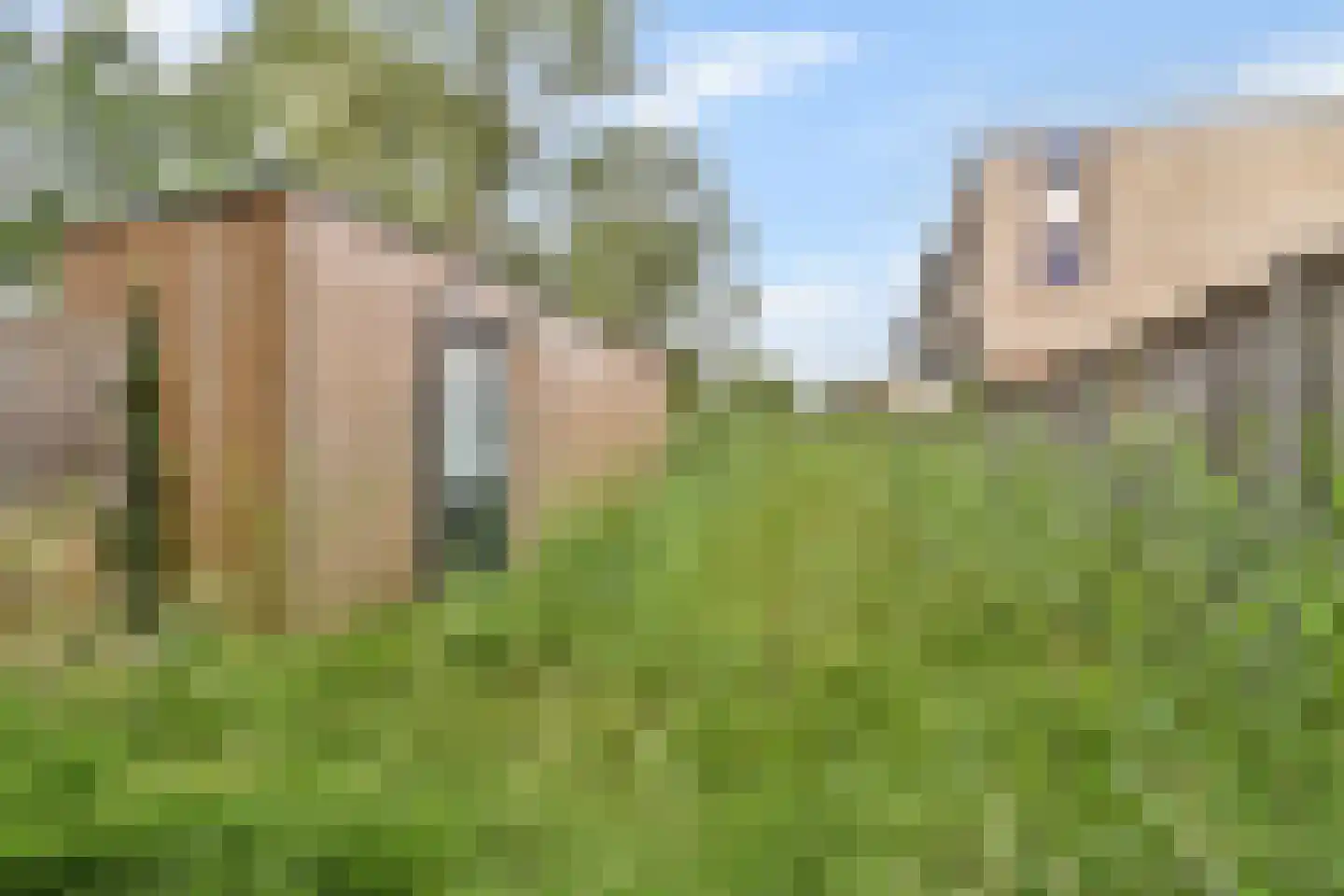 Baarsweg 227 Hoogvliet Rotterdam thumbnail 23