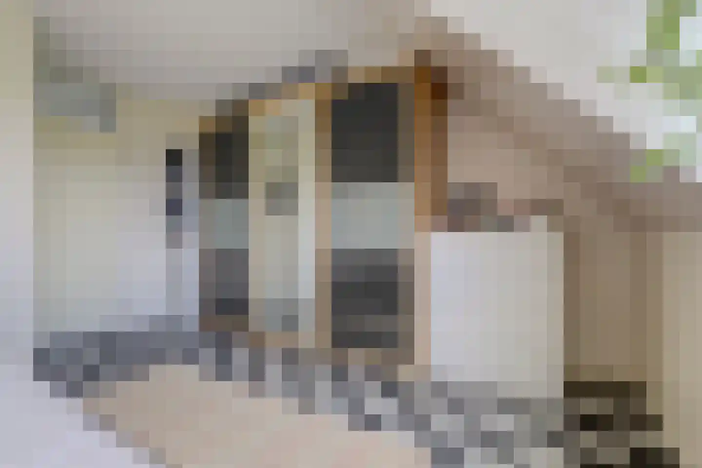 Baarsweg 3 Almere thumbnail 19