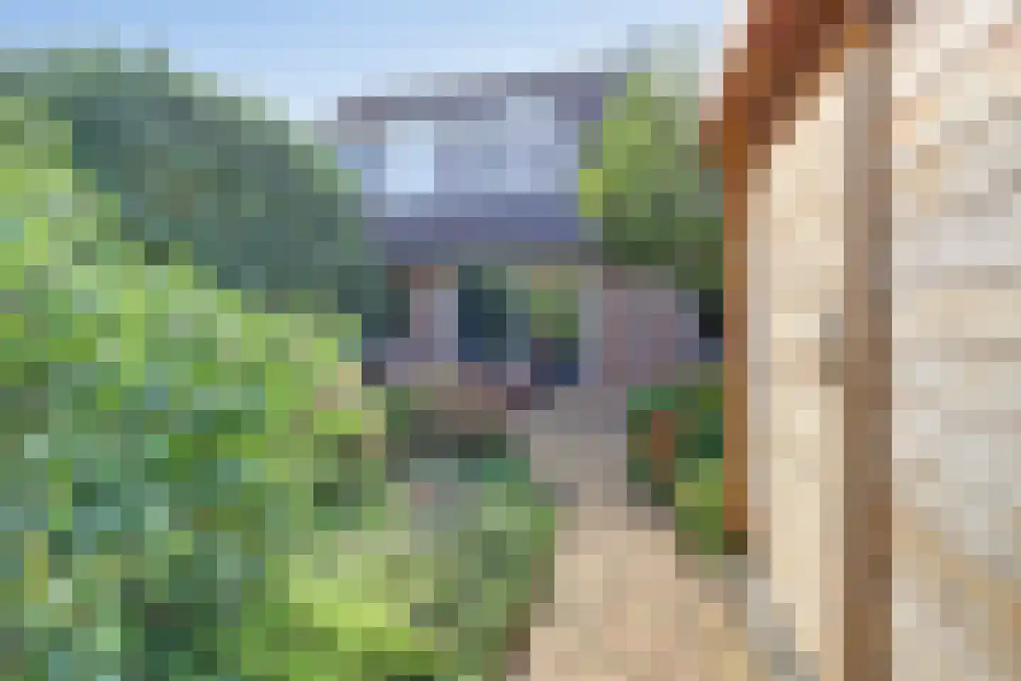 Baarsweg 3 Almere thumbnail 34
