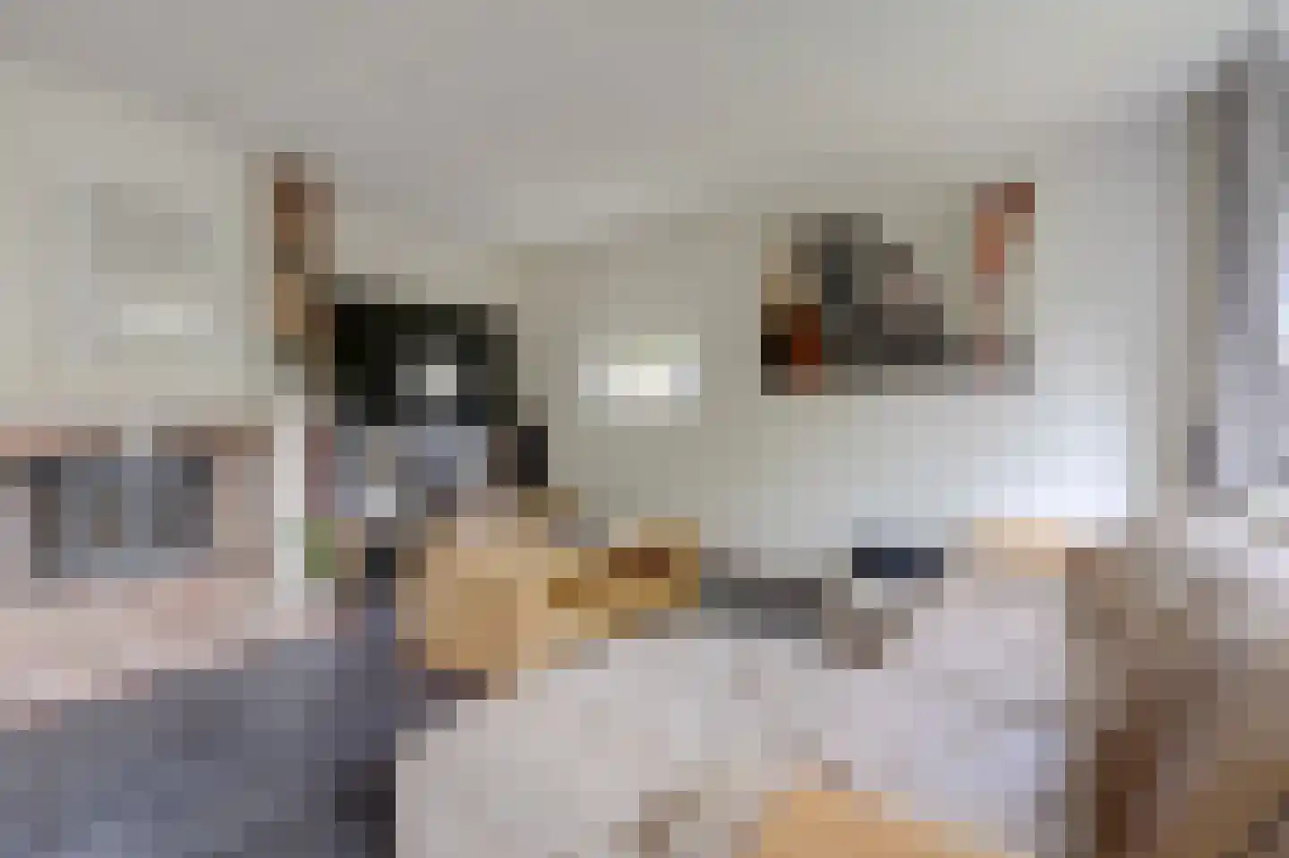Baarsweg 3 Almere thumbnail 8
